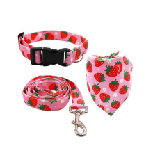 Custom Dog Collar And Leash Set Ajutable Pattern